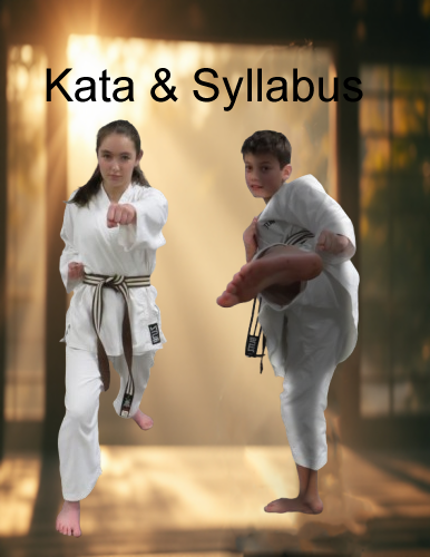 Karate Shotokan Kata